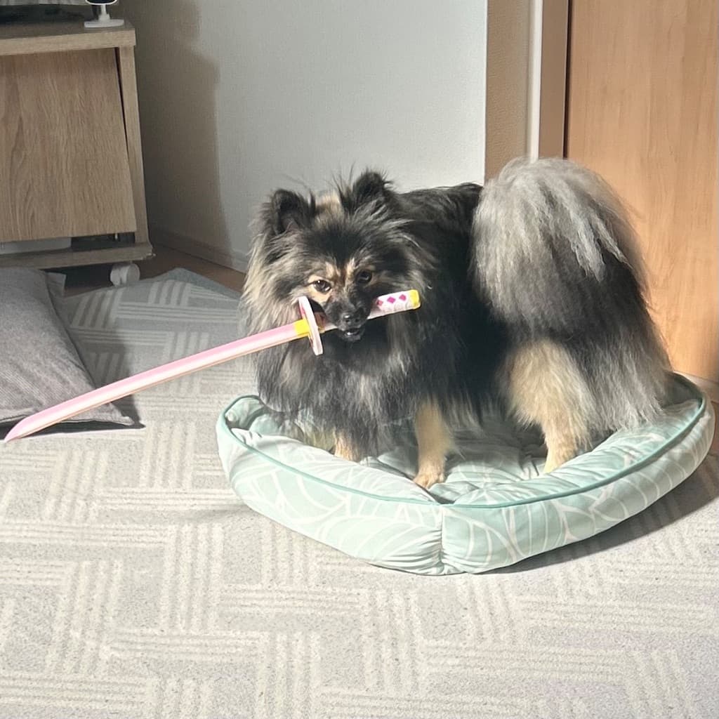 呼吸を覚えた犬